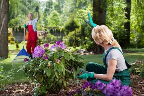 Flower bed creation in Euston with colourful layered planting