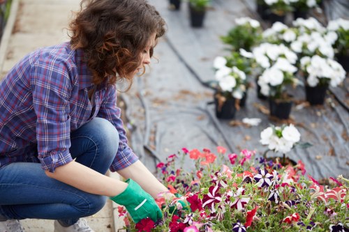 Landscaping complaint being assessed with project notes