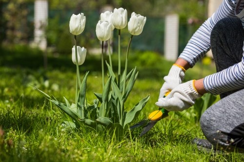 Landscaping in Euston with attractive greenery and city surroundings