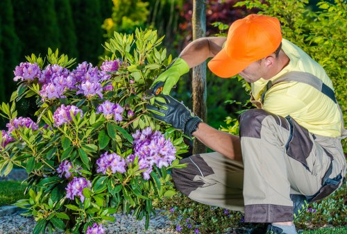 Updated cookie policy notice for Landscapers Euston