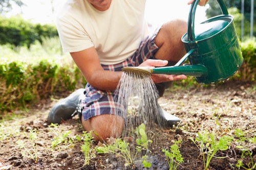 Digital payment options including card and PayPal for landscaping services