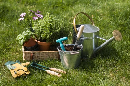 Professional Euston landscapers planning an urban garden design