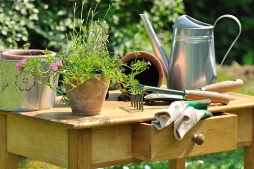 Choosing plants for a stylish Euston flower bed