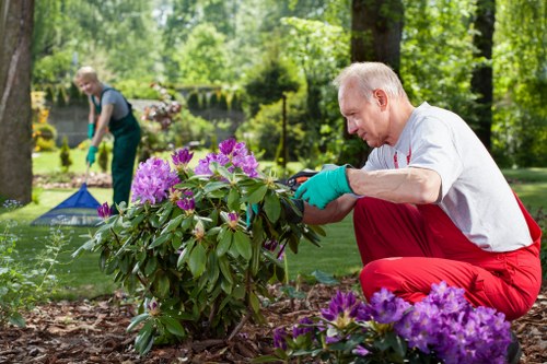 Expert hedge cutting for a local Euston property