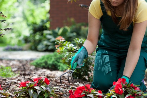 Replacement materials and paving slabs for patio repairs