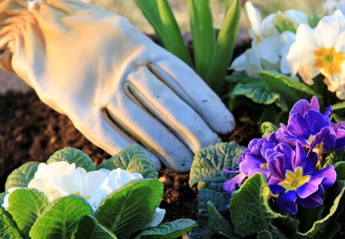 Professional planting services creating a green urban space in Euston