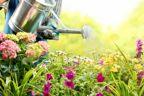 Insured rubbish company providing safe Landscapers Euston services