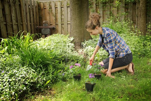 Professional garden maintenance in Euston showing pruning and lawn care
