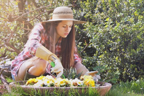Professional lawn mowing in an Euston outdoor space