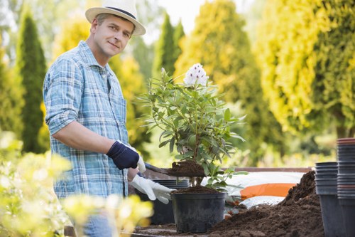 Sorted garden waste and green debris prepared for responsible disposal