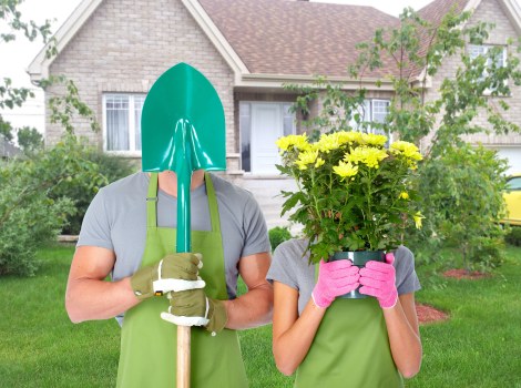 Reviewing garden service concerns in a professional setting