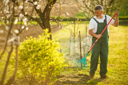Professional garden clearance work in a compact urban Euston property