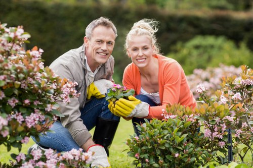 Seasonal hedge maintenance work in Euston